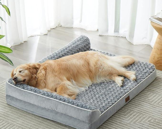 Dog Beds