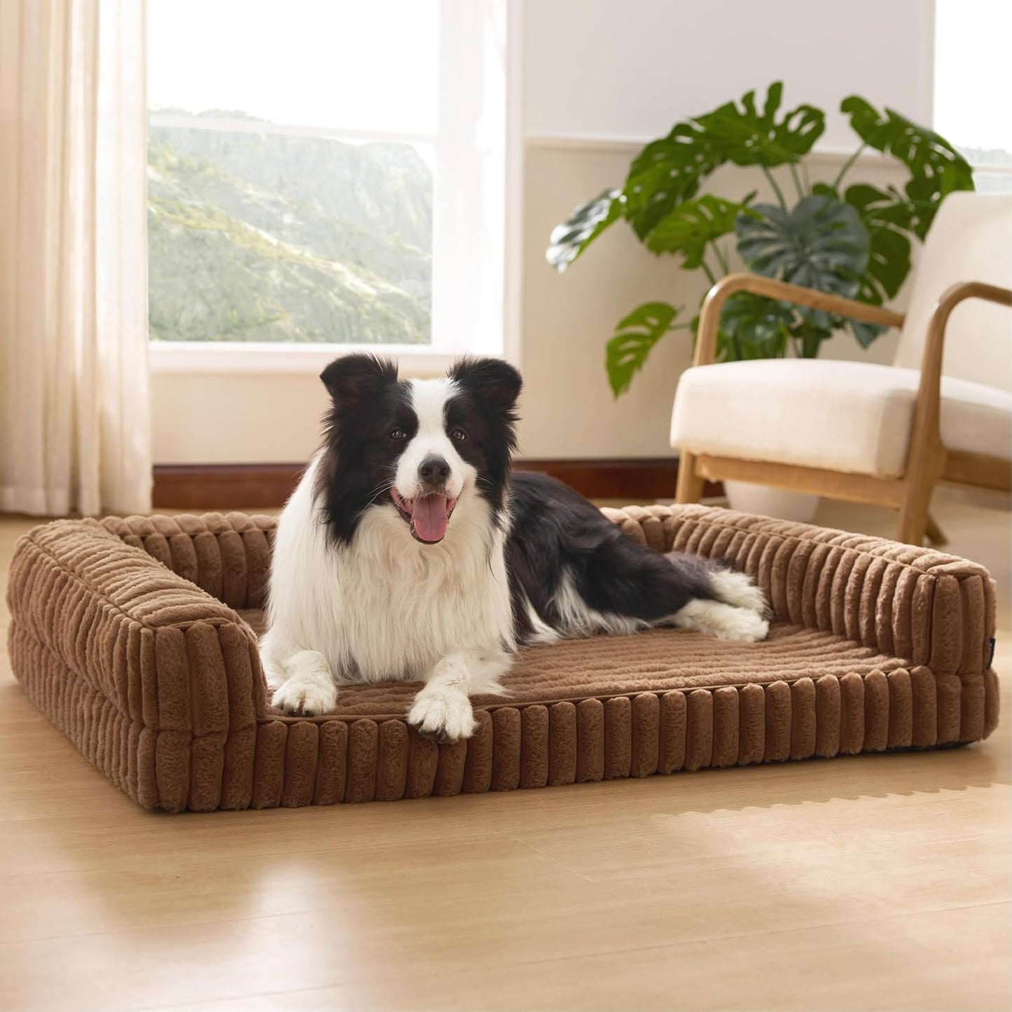Ridged Memory Foam Dog Couch | Padded Sides & Washable Cover