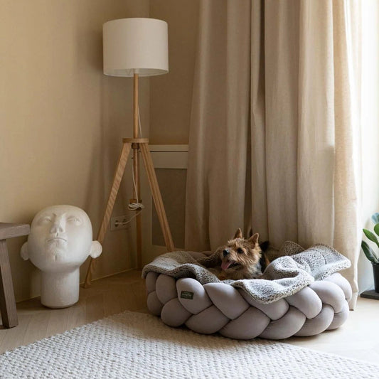 Braided Round Dog Bed | Cosy Woven Nest