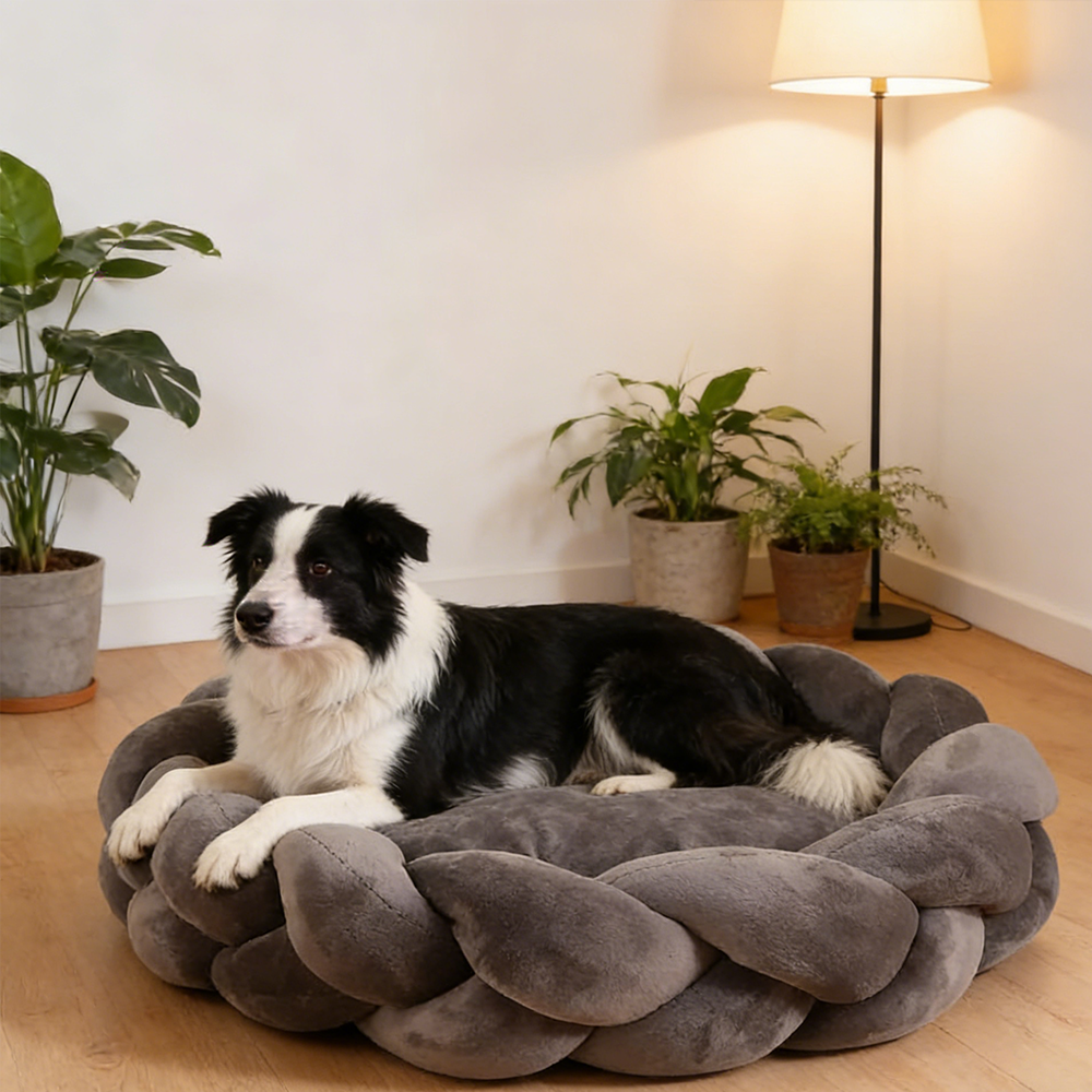 Braided Round Dog Bed | Cosy Woven Nest