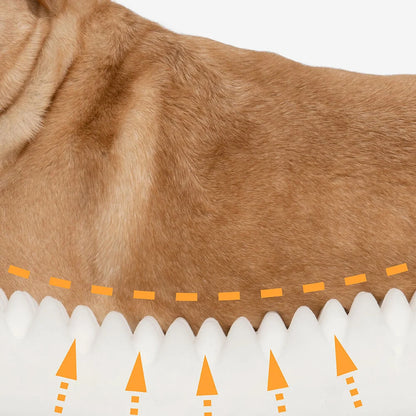 Oval Washable Orthopaedic Dog Bed | Bolster Sides & Waterproof Liner