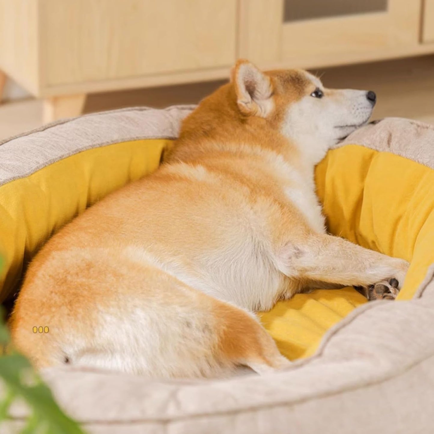 Oval Washable Orthopaedic Dog Bed | Bolster Sides & Waterproof Liner